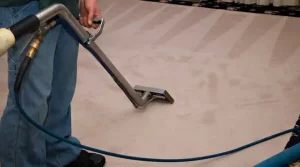 01.4 - diy or professional carpet cleaning