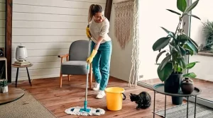 03.4 - misconceptions about professional cleaners